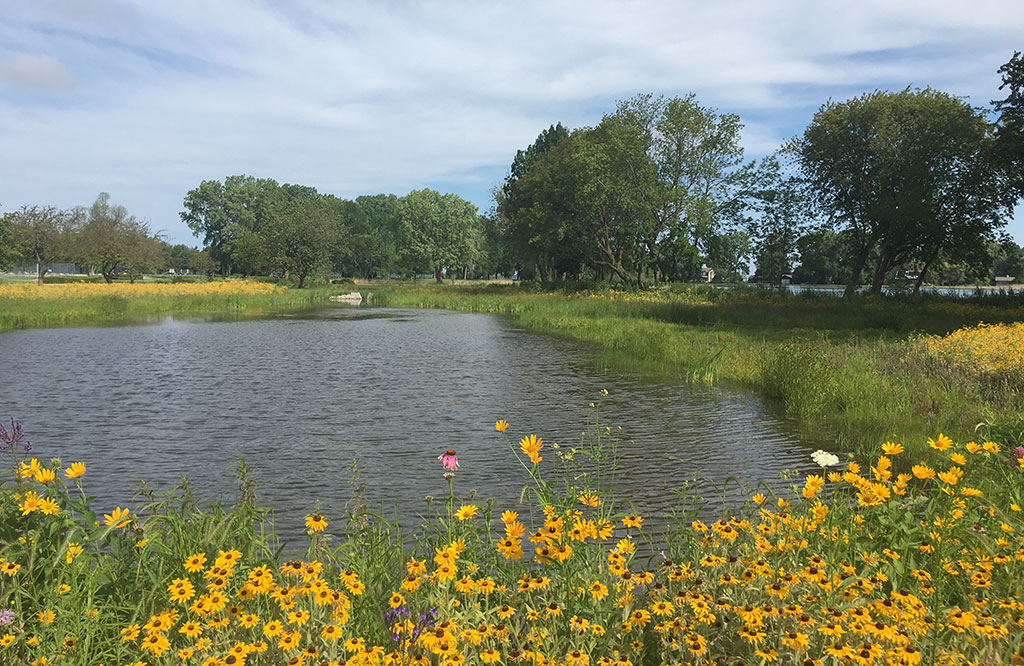 Bradley Lake Coastal Wetland Restoration Fund For Lake Michigan