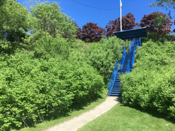 A blue staircase surrounded by plants at North Point Bluff