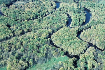 Arial view of rivers winding through DNR State Natural Areas