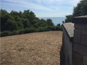A brown patch of ground overlooking Lake Michigan with trees
