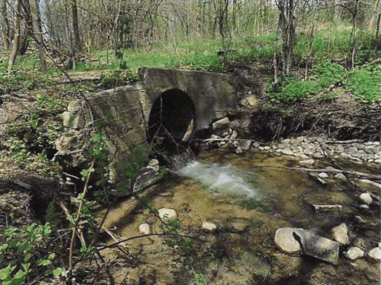 Willow Creek Preserve Restoration Fund For Lake Michigan Fund For