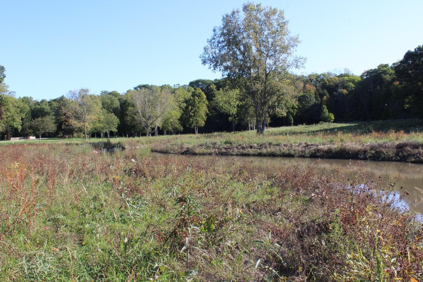 Petrifying Springs Park Pike River Restoration Phase II Fund For Lake